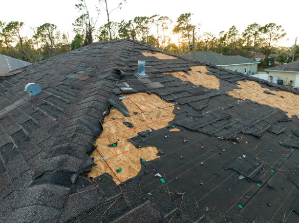 Best Wood Shake Roofing  in Miller Place, NY